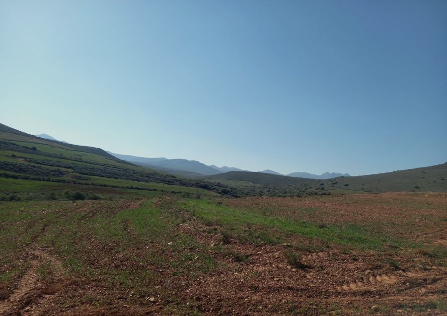 Commercial Property for Sale in George Rural Western Cape
